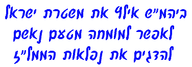 בית המשפט אילץ את משטרת ישראל להדגים את נפלאות הממל"ז