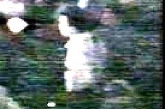 enlarged space around amir