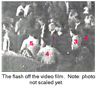 Video frame